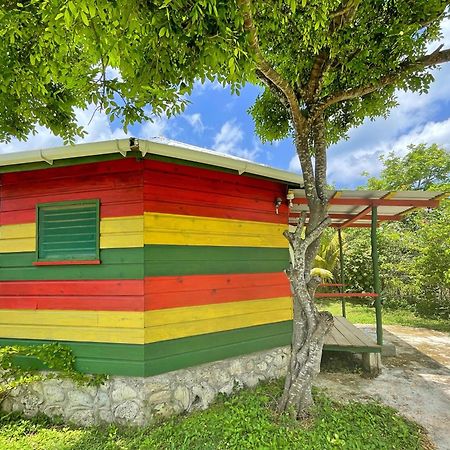 Judy House 2 - Lewis Backpacker Hostel Little Bay Rum bild